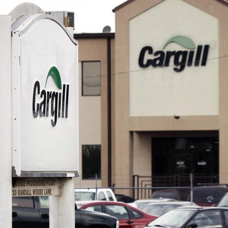 Agribusiness giant Cargill not doing enough to fight deforestation, protect human rights, group says